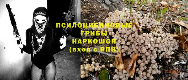 a pvp Бородино