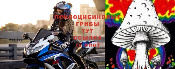 СК Бугульма