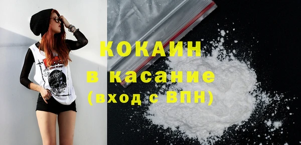 a pvp Бородино