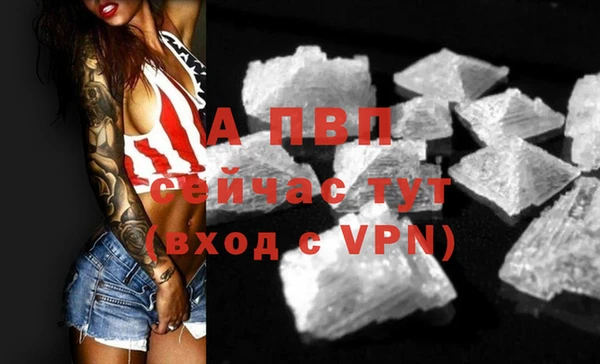 a pvp Бородино