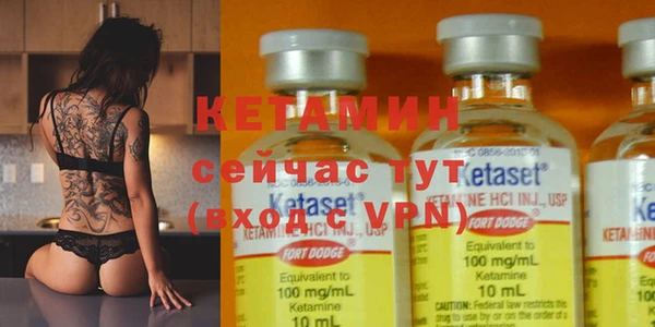 a pvp Бородино