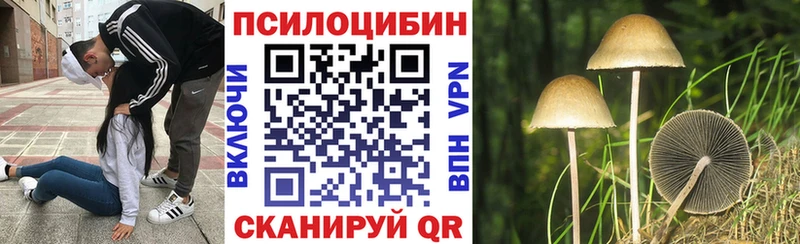 Купить  Вельск  Галлюциногенные грибы MAGIC MUSHROOMS 